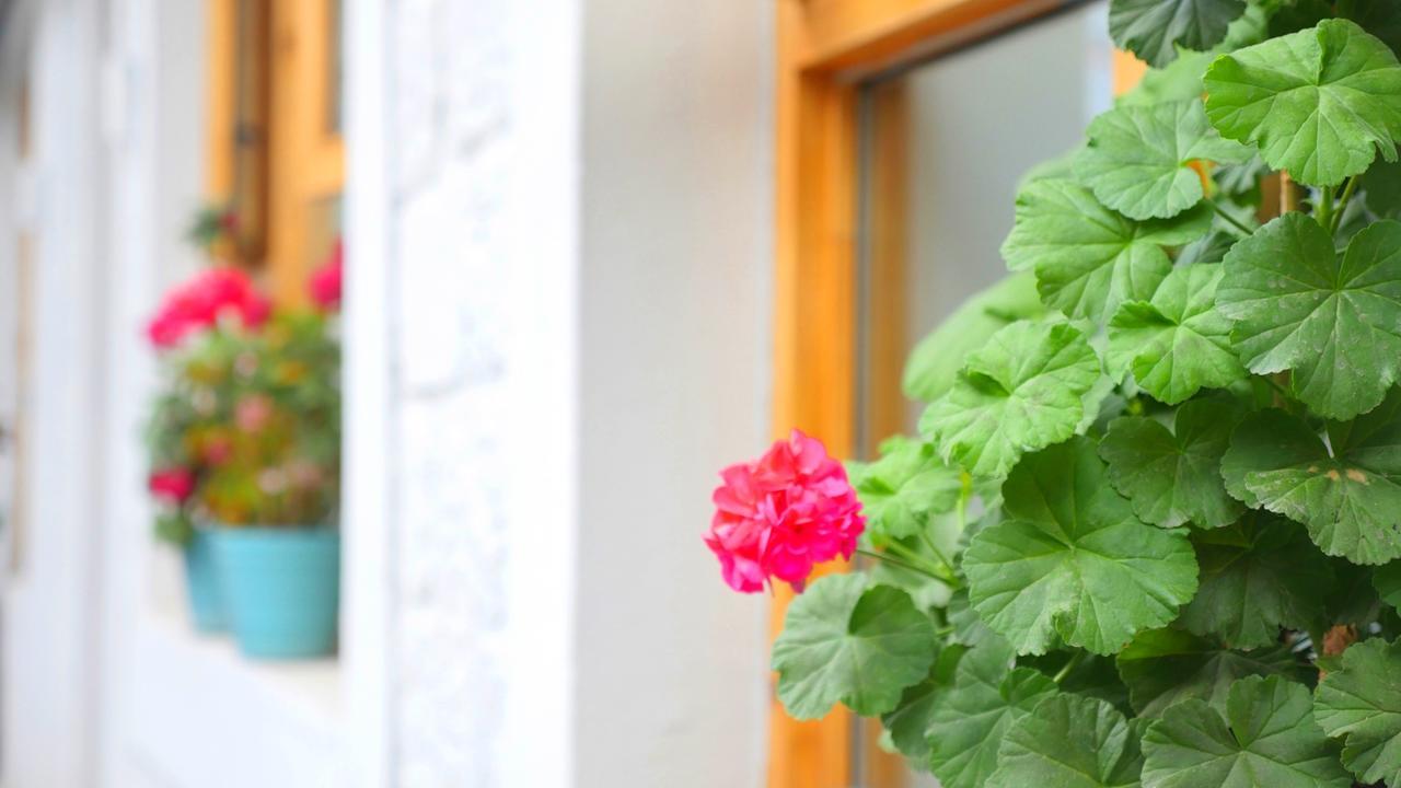Fengma Feiyang Hostel Lhasa Ngoại thất bức ảnh